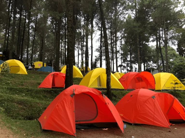 A forest campsite filled with colorful red and yellow tents, showcasing some of the Best Camping Tents for group outdoor adventures.