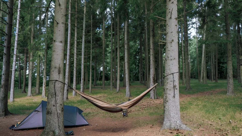 A brown hammock hangs between tall trees at a quiet campsite, showing why it's one of the best hammocks for forest relaxation.
