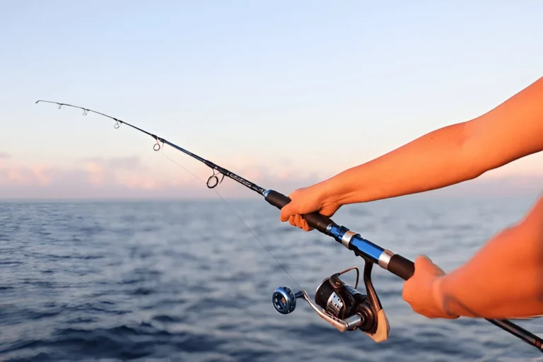 Person fishing in open water using the Best Telescopic Fishing Rod during a calm, scenic evening.