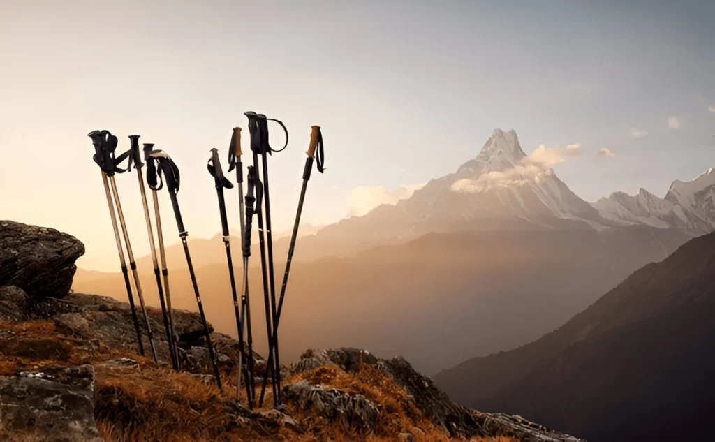 Group of best trekking poles on a mountain top background
