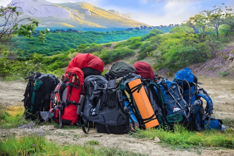 A lineup of travel backpacks resting on a trail with scenic mountains in the background, featuring some of the Best Hiking Daypacks for outdoor adventures.