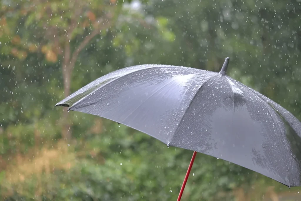 Black best umbrellas in the pouring rain